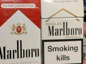 万宝路(白金埃及免税版)