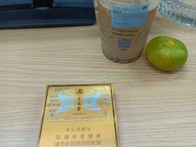 黄鹤楼(硬感恩新版)