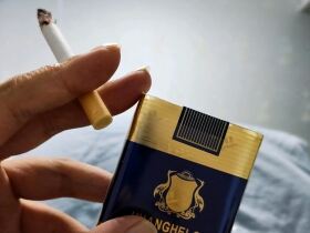 黄鹤楼(软蓝出口)