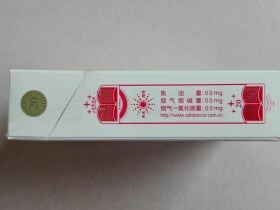 泰山(好好学习)