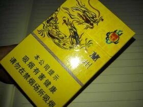 兰州(陇九飞天)