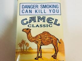 骆驼(软黄南非含税版)