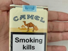 骆驼(无嘴中南半岛免税)