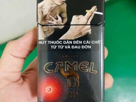 骆驼(红茶爆珠越南版)