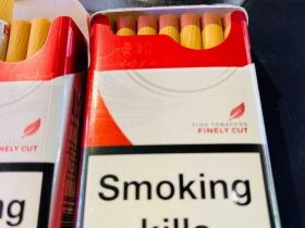 L&M(硬红欧盟免税版)