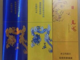 真龙(海纳百川细支)