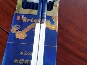 真龙(海纳百川细支)