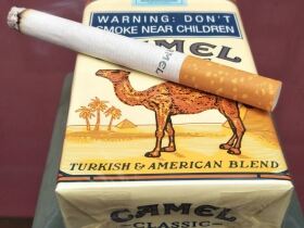 骆驼(软黄南非含税版)