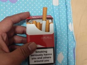 云斯顿(硬红GCC免税版)