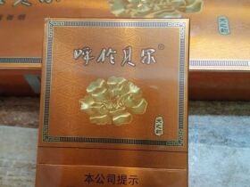 呼伦贝尔(天之韵)