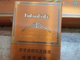 呼伦贝尔(天之韵)