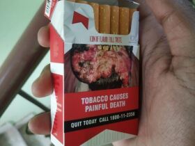 万宝路(Firm Filter印度版)