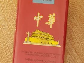 中华(软出口格鲁吉亚版)