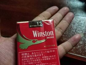 云斯顿(红迷你日税版)