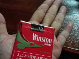 云斯顿(红迷你日税版)