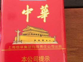 中华(软2022壬寅虎年贺岁版)