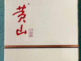 黄山(中国画细支.新版)