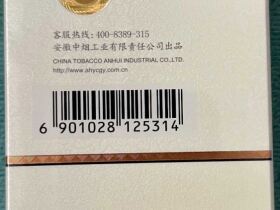 黄山(中国画细支.新版)