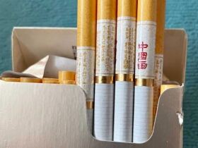 黄山(中国画细支.新版)