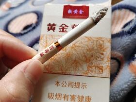 黄金叶(软黄金)