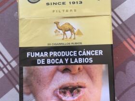 骆驼(硬黄阿根廷版)