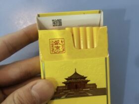 人民大会堂(盛京细支)