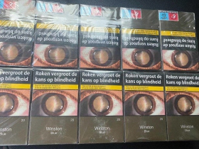 云斯顿(硬蓝荷兰平装版)