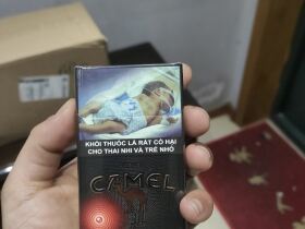 骆驼(红茶爆珠越南版)