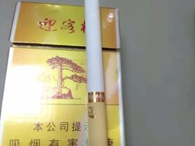 黄山(贵宾迎客松)