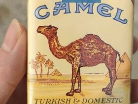 骆驼(美国免税无嘴)