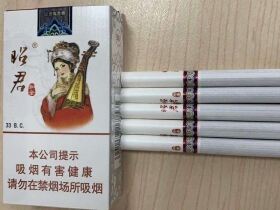 大青山(昭君和亲中支)