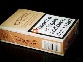 骆驼(原味欧盟版)