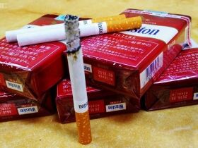 云斯顿(软红岛内加税版)