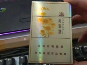 黄鹤楼(滑盖乐道)