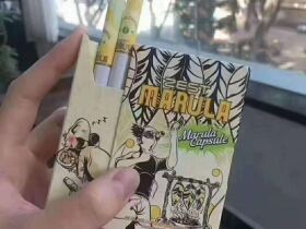 ZEST(marula人猿香蕉侧推)