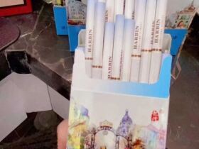 哈尔滨(中央大街)