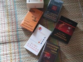 冬虫夏草(和润)