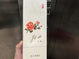 牡丹(真国色白中免版)