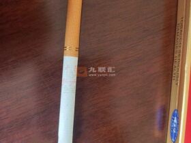 中华(金中支出口版)