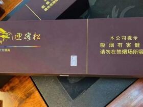 黄山松(迎客松赢客)