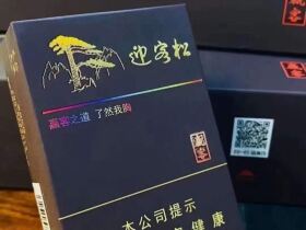 黄山松(迎客松赢客)