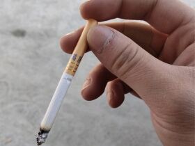 黄鹤楼(硬蓝中支)