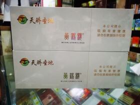 黄鹤楼(硬天骄圣地)