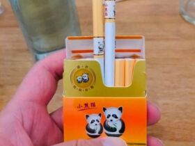 云烟(盛世小熊猫中支)