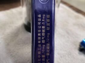 红金龙(软蓝九州腾龙)