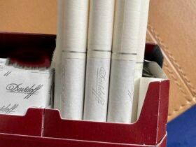 大卫杜夫(国际装经典)