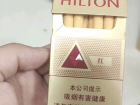 希尔顿(红中免)