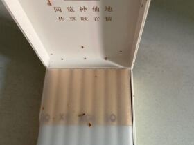 黄鹤楼(峡谷情)