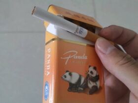 熊猫(时代出口)