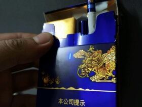 真龙(海韵中支)